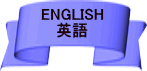 Enter English Site